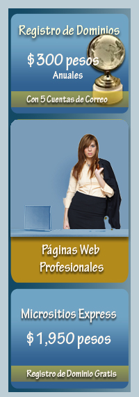 Paginas Web en Mexico